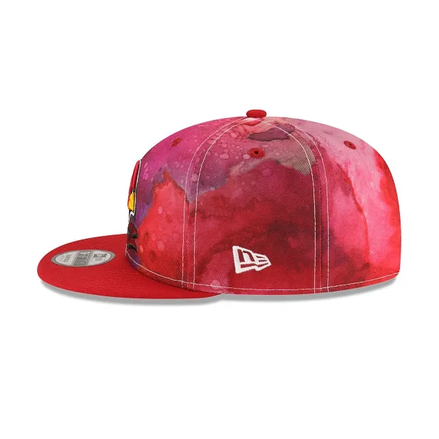 Arizona Cardinals NFL Sideline 2022 Ink Dye 9FIFTY Snapback