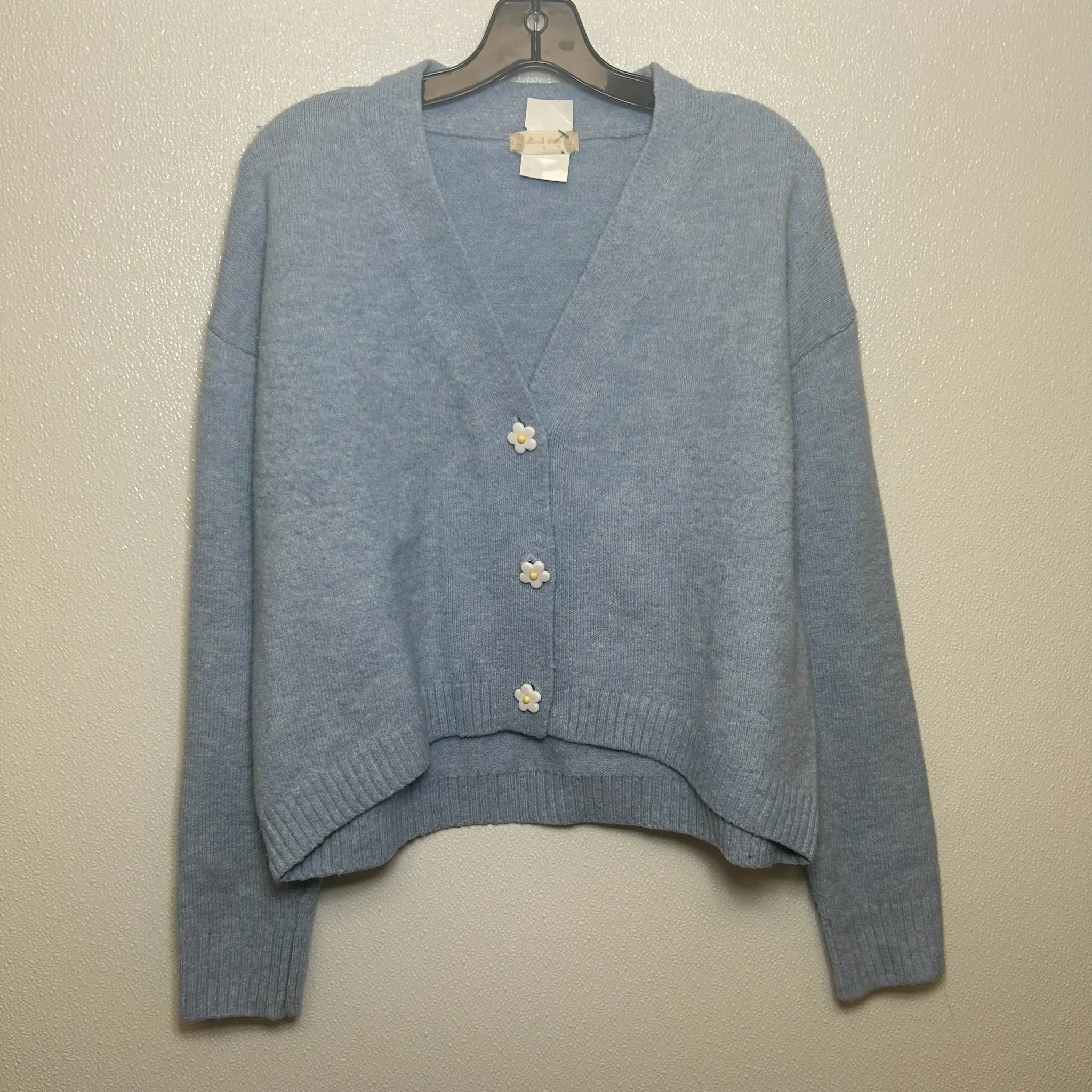 Blue Sweater Cardigan Altard State, Size S