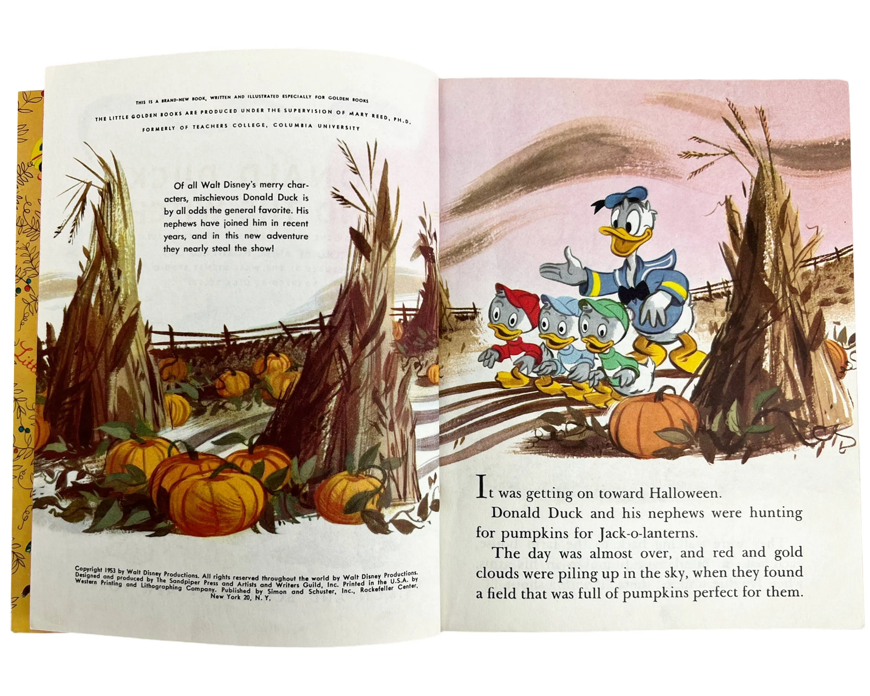 Donald Duck and The Witch Little Golden Book 1st Edition A Printing 1953 Near Fine Condition