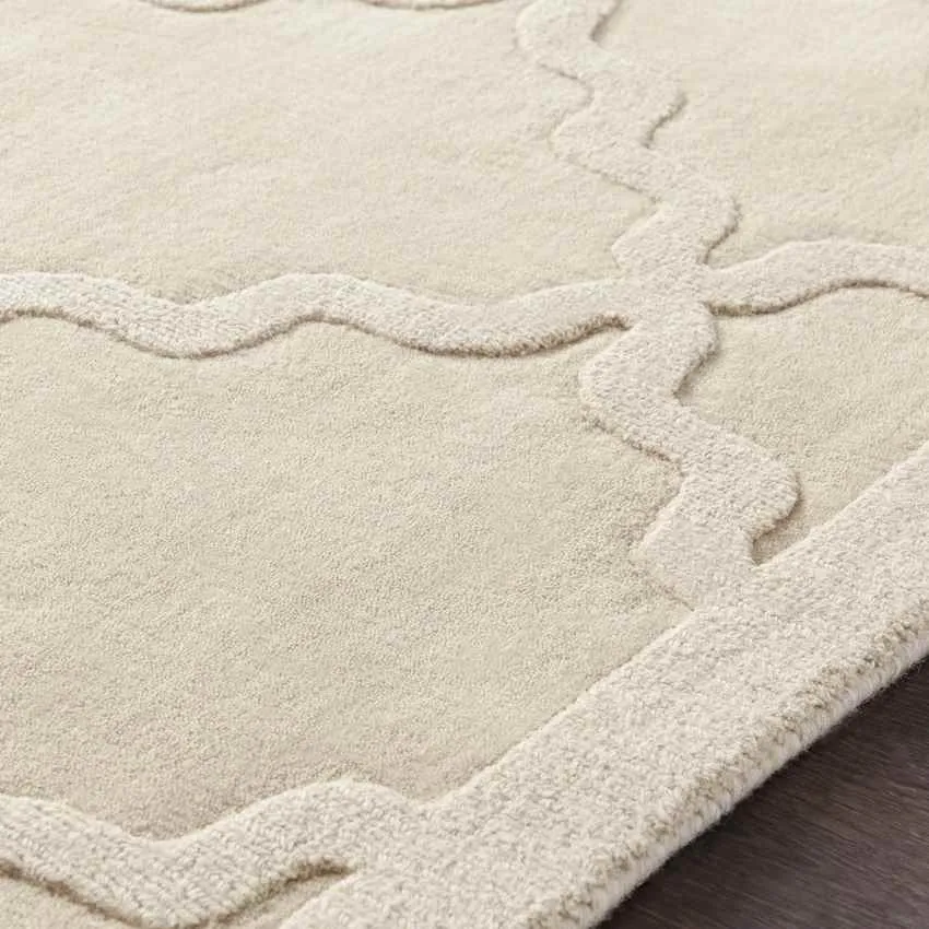 Ermont Solid and Border Area Rug Carpet for Living Room Bedroom or Kitchen