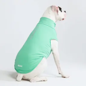 Sunblock Dog T-Shirt - Mint